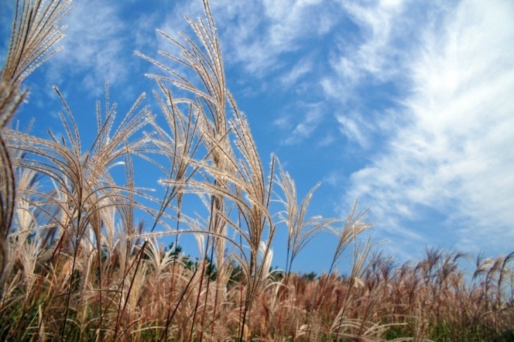 2025-retrospective-title-1